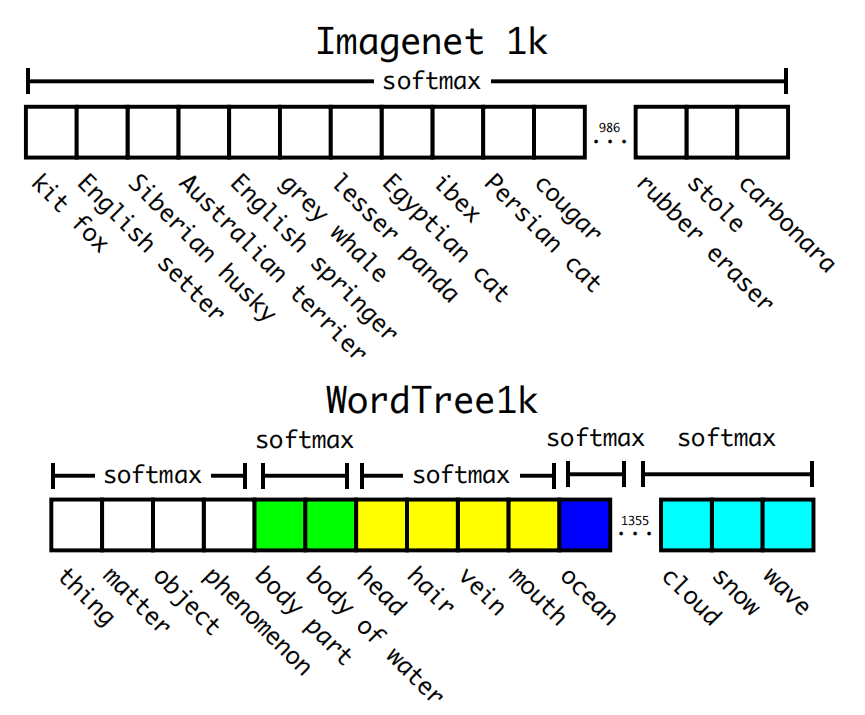 图5：在ImageNet与WordTree上的预测。大多数ImageNet模型使用一个较大的softmax来预测概率分布。使用WordTree，我们可以在共同的下义词上执行多次softmax操作。